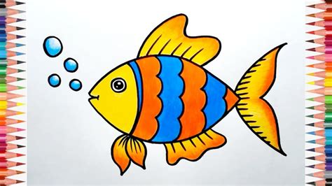 fish drawing|Fish Drawing For Beginners .